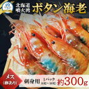 【ふるさと納税】【数量限定】ボタン海老 大サイズ 約300g(8尾～10尾) 北海道八雲町産 卵あり 刺身用【配送不可地域：離島】【1553378】