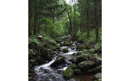 [ふるなび限定企画]【定期便6回】産地直送栃木県のブランド魚「プレミアムヤシオマス」の刺身 400g (200g×2パック)  [ 冷凍便 ] | 魚 ます 養殖 産地直送 栃木県 (毎月お届け）