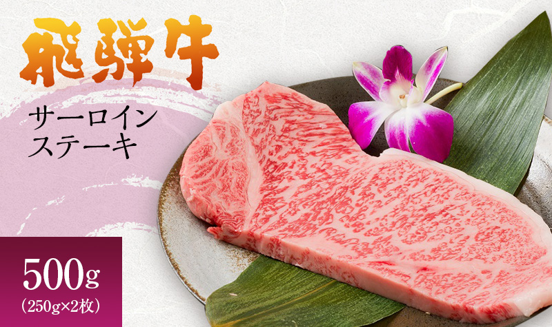 岐阜県海津市産 飛騨牛サーロインステーキ(250g×2枚) 牛肉 500g 