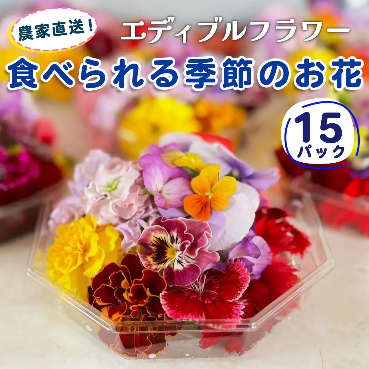 農家直送！加藤さんちのエディブルフラワー 15パック (1パックあたり季節のお花15輪から30輪)｜食用 花 お花 野菜 トッピング 付け合わせ [0766]