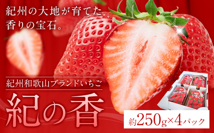 【先行予約】いちご イチゴ 苺 フルーツ 果物 紀州和歌山 ブランドいちご 紀の香 250g × 4パック 1kg 1000g 株式会社魚鶴商店《2027年2月上旬-2月下旬頃出荷》和歌山県 日高町 