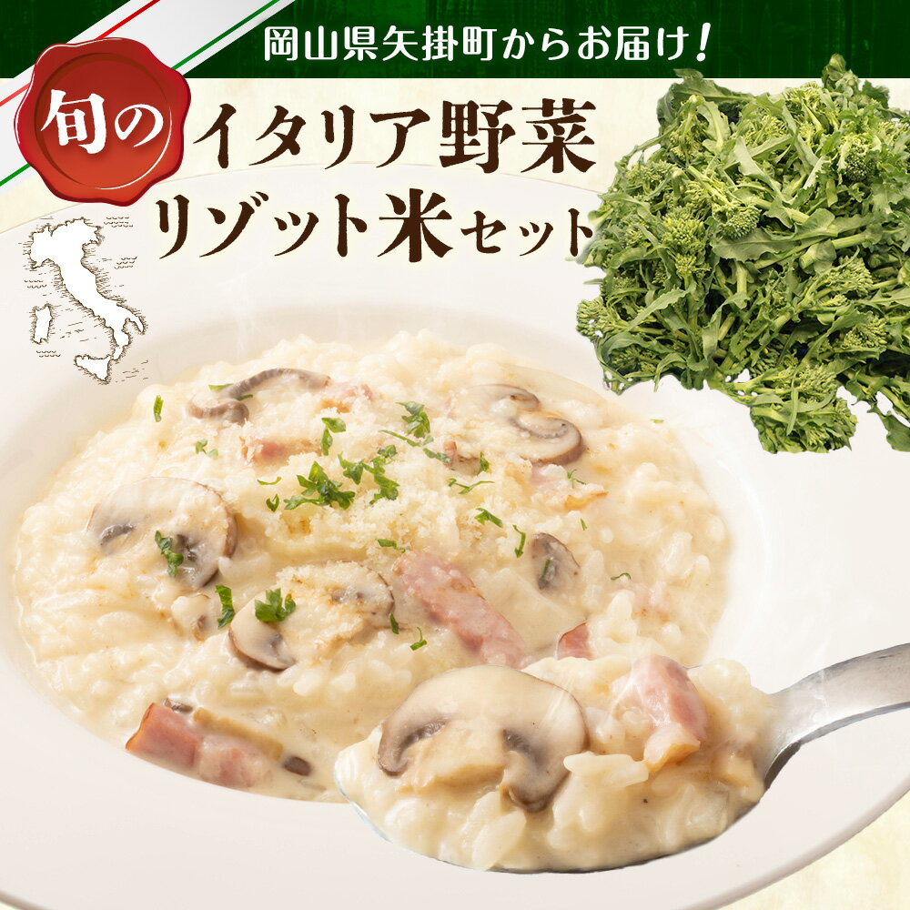 【ふるさと納税】旬の イタリア野菜 2品目 と リゾット米 1kg セット 先行予約 《2027年1月上旬-3月末頃出荷》JA晴れの国 矢掛アグリセンター 野菜 ねぎ ネギ 国産 イタリア リーキ プレコーチェ カタローニャ 西洋 野菜 リゾット 送料無料