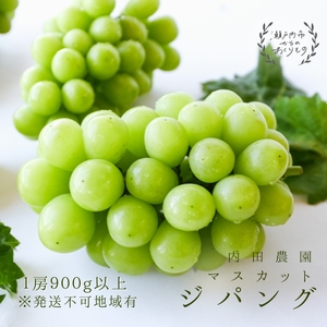 マスカット・ジパング 1房（900g以上）内田農園 岡山県 瀬戸内市 邑久町産 葡萄 ぶどう 2026年【配達不可：北海道・沖縄・離島】 果物類 フルーツ オリジナル 種なし 皮ごと 