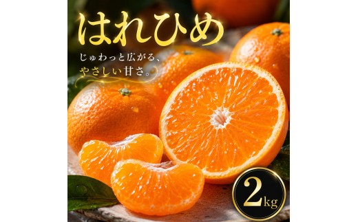 【選ぶならこれ】 とろける甘み 【はれひめ】 2kg 愛媛県産 【2027年1月上旬頃から順次発送】 | みかん ミカン mikan 蜜柑 訳ありフルーツ 柑橘 果物 おすすめ お勧め お取り寄せ ギフト 愛媛県 松山市