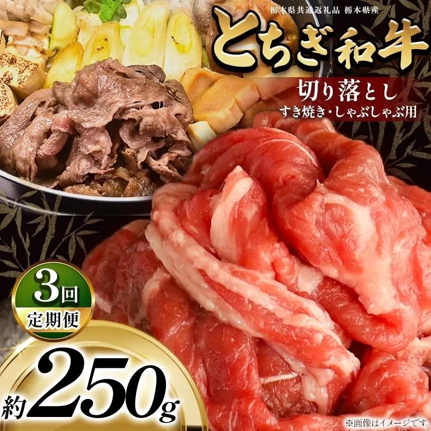 【定期3回】最高位賞を受賞！最高級ブランドの柔らかく風味豊かなとちぎ和牛切り落とし 250g（すき焼き・しゃぶしゃぶ用） | 霜降り 和牛 切り落とし とろける 品質 柔らかく 銘柄牛 安心 安全 美味しい おいしい 芸術品 特産品 ふるさと 納税 栃木県共通返礼品 栃木県 那珂川町 送料無料
