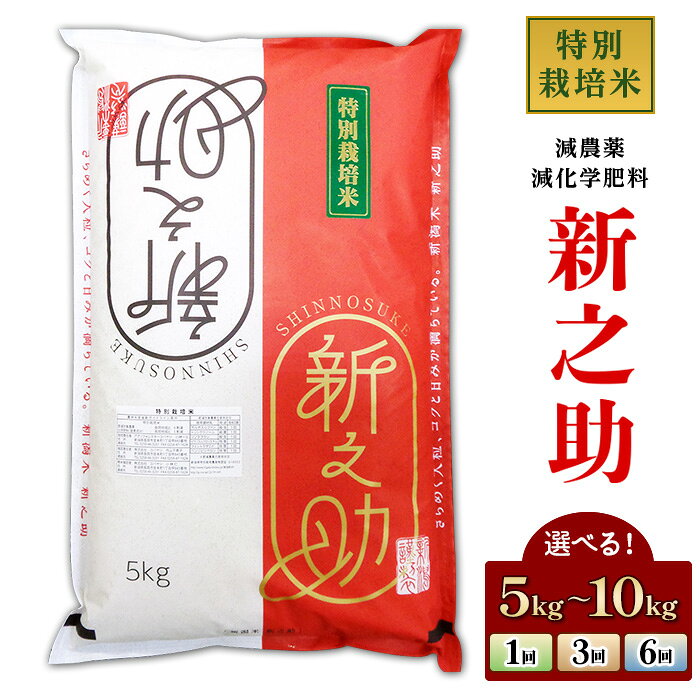 【ふるさと納税】米 新米 令和8年産 定期便 5kg 10kg 新潟 新之助 選べる回数 1回 3回 6回 3ヶ月 6ヶ月 精米 白米 お米 新之助5kg（株式会社コバヤシ）