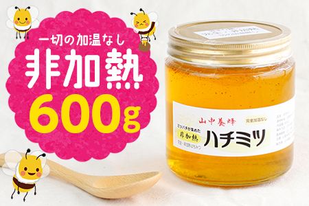 【自然のまま】富津産ハチミツ600g【完全非加熱】