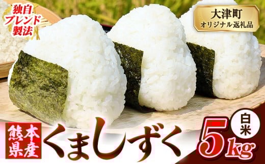 白米 熊本県産 ブレンド米 くましずく 5kg 熊本県産 ふるさと納税 白米 精米 米 こめ ふるさとのうぜい コメ お米 おこめ《9月下旬-11月上旬出荷》