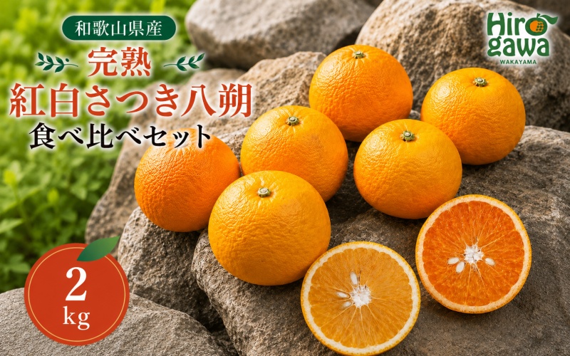 完熟 紅白 さつき 八朔 食べ比べ セット 2kg 6000円 久幸園  /  紅八朔 さつき八朔 はっさく 樹上完熟 完熟 木成り 柑橘 果物 くだもの フルーツ みかん 和歌山 有田 広川町 ※2027年4月上旬〜5月上旬頃に順次発送予定  //hassaku 【hsk022-mix-2A】