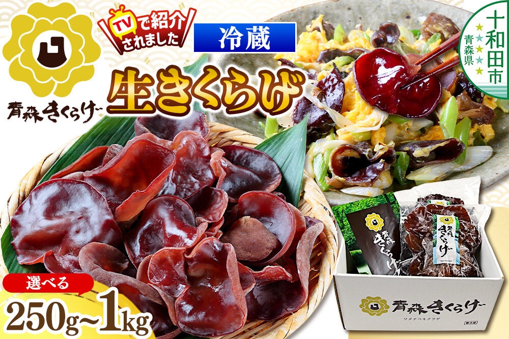 
                  青森きくらげ（生キクラゲ）【選べる内容量：約250g～約1kg】 十和田市産 [国産 生きくらげ クール便]
                
