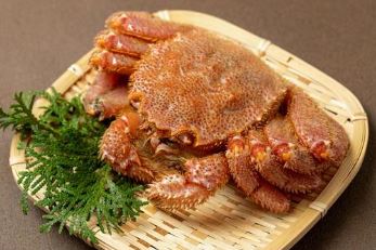 活ゆで毛蟹（2尾×400ｇ）計800g【冷凍】カニ 毛ガニ 蟹 北海道かに 北海道カニ 国産カニ かに 毛蟹 冷凍かに