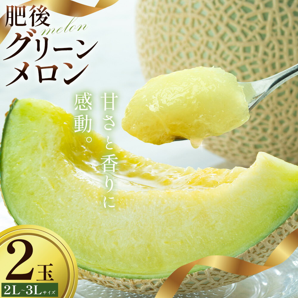 【ふるさと納税】【先行予約】メロン 肥後グリーンメロン 大 2L 〜 3L サイズ 2玉 約1.6〜2kg×2 MOTOYAMA358FARM 《2026年4月中旬-6月中旬頃出荷》 熊本県 菊池市 メロン 果物 フルーツ 九州産 国産 送料無料