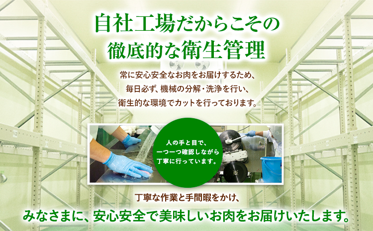 牛肉 黒毛和牛 切り落とし 2.5kg《30日以内に出荷予定(土日祝除く)》 岡山県 浅口市 牛 牛肉 和牛 牛丼 カレー 小分け 小分けパック 250g 送料無料