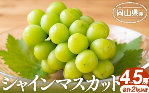 ぶどう 2025年 シャインマスカット 4～5房 合計2.0kg前後 岡山県産 | フルーツ 果物 くだもの シャインマスカット マスカット ブドウ ぶどう 葡萄 デザート 岡山 岡山県産　国産 おすすめ 人気 プレゼント ギフト 贈答用 フルーツ 果物 シャインマスカット 葡萄 ぶどう ブドウ