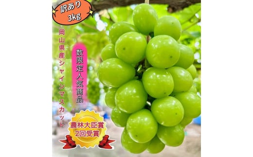 ぶどう 2026年  シャインマスカット 家庭用 約3kg | 岡山 国産 果物 訳あり フルーツ シャイン マスカット2026年7月中旬から発送