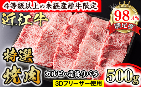 【森三商会】4等級以上 未経産 雌牛 限定 近江牛 特選 焼肉 500g カルビ 霜降りバラ 【GM10W】【 近江牛 】 牛肉