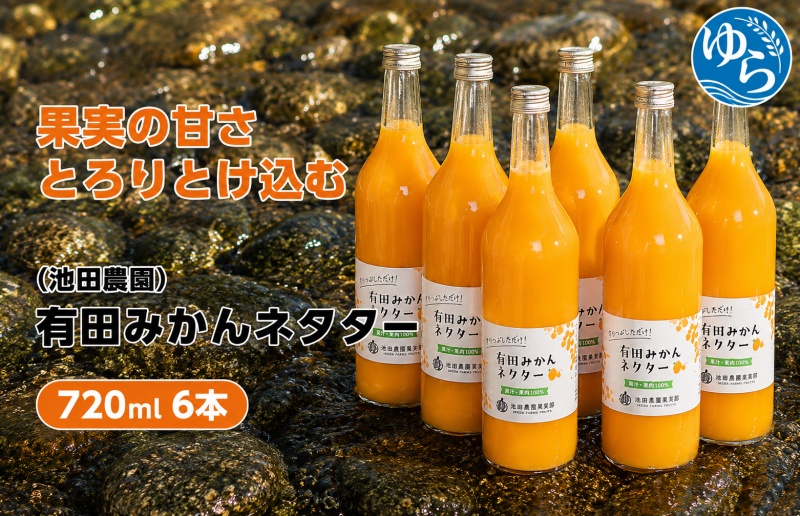 みかん ネクター 100％ ジュース / 温州みかん 有田みかん 果汁 無添加 柑橘 和歌山 18000円 720ml ※北海道・沖縄・離島への配送不可 //drink 【ikd100-to720-6】