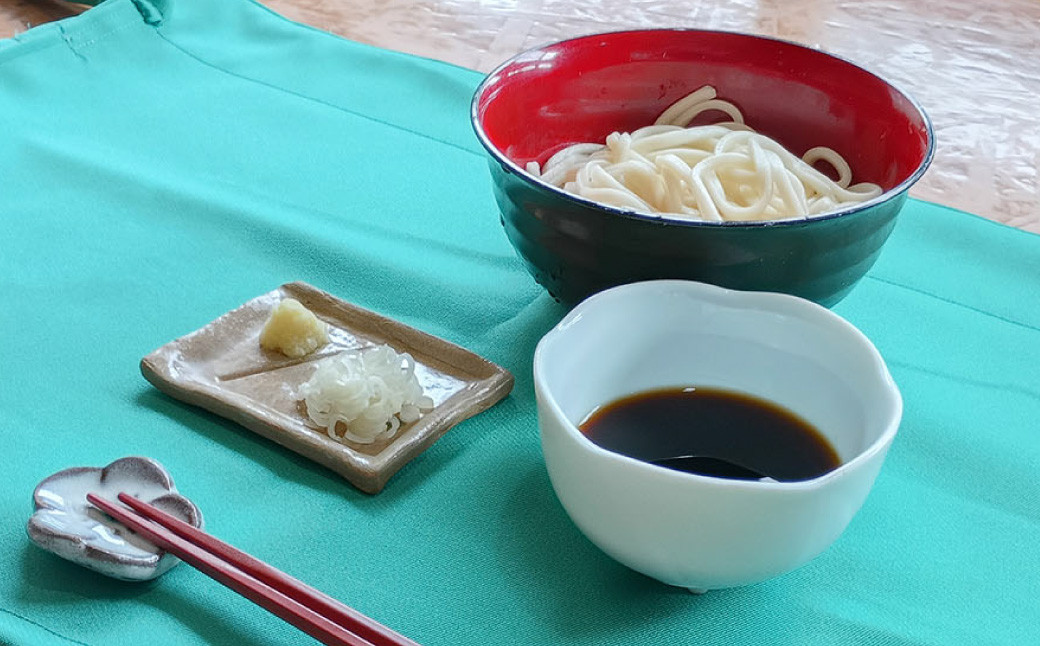 生うどん 100g×5人前×2セット
