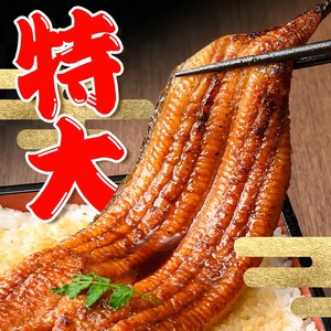 i1078-B-m 【母の日ギフト】＼特大サイズ／鹿児島県産 うなぎ蒲焼 3尾（約220g×3・計約660g） たれ 山椒付きうなぎ 鰻 ウナギ 特大 特大サイズ 約220g 蒲焼き 国産 鹿児島県産