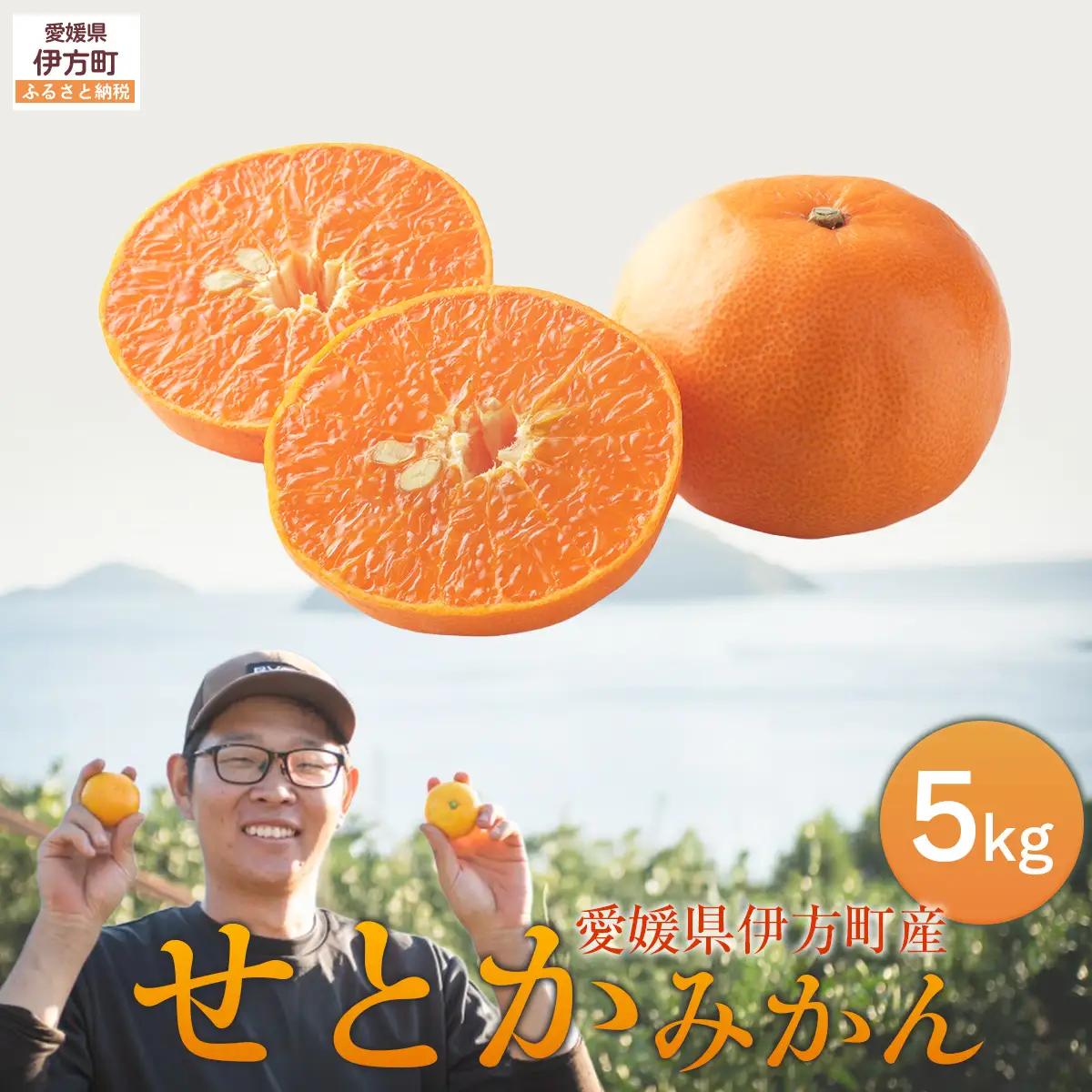 【先行予約】せとか5kg ※離島への配送不可 （2027年2月10日より順次発送予定） IKTAG004