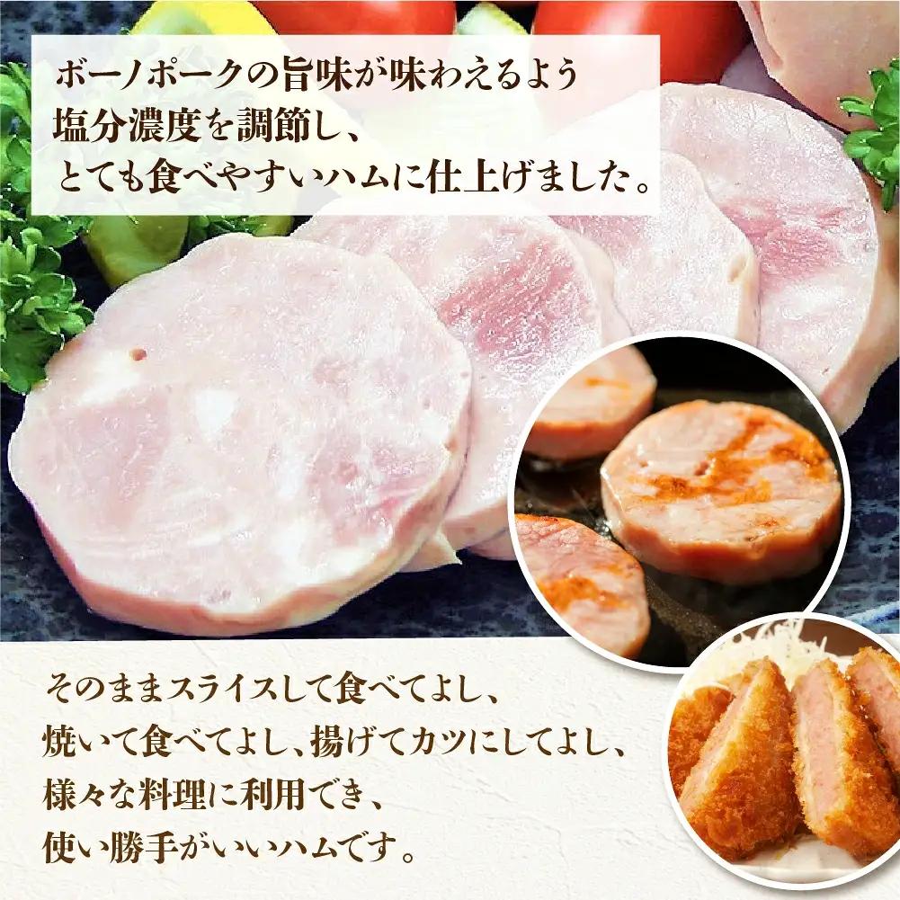 【定期便 3回】飛騨味職人「ボーノポーク満喫定期便」【57-E】