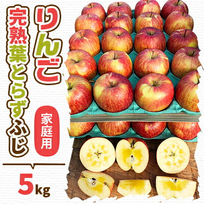 【ふるさと納税】【2025年産】りんご 完熟葉とらずふじ 5kg (家庭用)【配送不可地域：離島・沖縄県】【1181954】