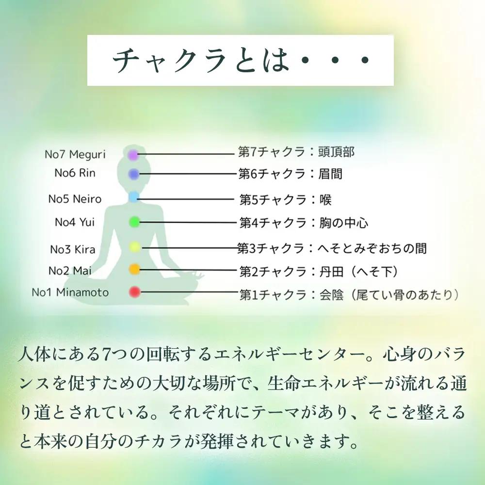 オーガニックハーブティー 無添加 ノンカフェイン   Chai - ハーバルチャイ（袋入65g) 1袋 自然栽培 ギフト プレゼント[023PT001]