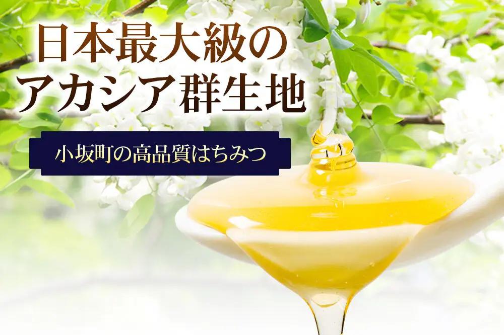 はちみつ アカシア蜂蜜セット（250g×3本）国産 秋田県小坂町