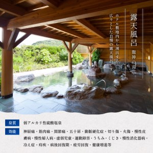 下田温泉　ホテル伊豆急　1泊朝食付ペア宿泊券　[旅行 宿泊券 ペア 食事付き 温泉 バイキング オーシャンビュー 【ホテル伊豆急】1泊朝食付 白浜海岸 下田 伊豆]