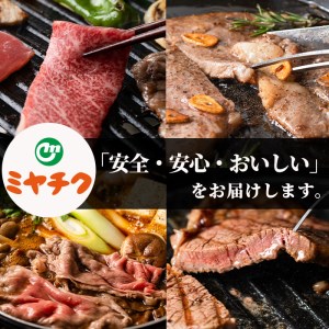 ＜宮崎牛・3D冷凍＞6部位食べ比べ焼肉(合計600g)牛肉  国産 冷凍【R-27】【株式会社ミヤチク】
