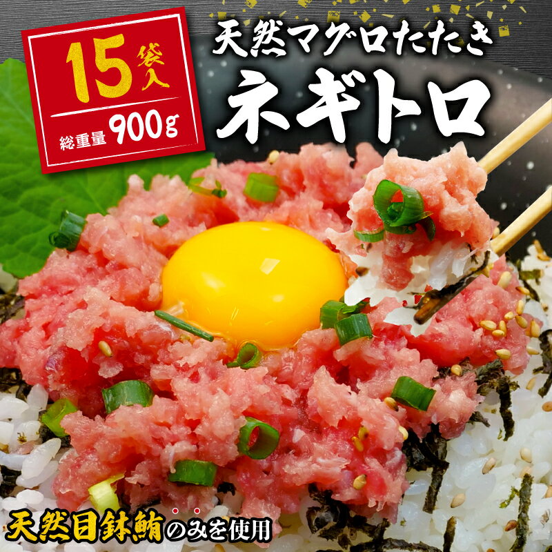 【ふるさと納税】 訳あり ネギトロ まぐろ 約900g 15袋 60g × 15パック 小分けパック ねぎとろ まぐろ 鮪 まぐろのたたき 小分け 個包装 魚 さかな 魚介 新鮮 天然 目鉢 冷凍 人気 おすすめ 送料無料 10000円 一万円 静岡県 藤枝