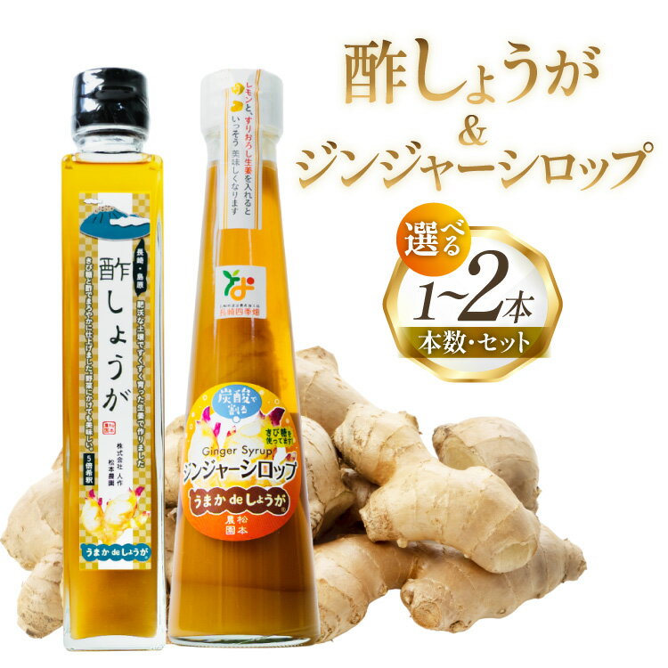 【ふるさと納税】 生姜 ジンジャーシロップ 酢しょうが 選べる本数 セット [ 1本 2本 生姜 しょうが ショウガ ジンジャーエール ジンジャーハイボール 松本農園 人作 長崎県 島原市 422037017]
