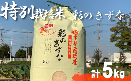 ＜令和7年産＞特別栽培米　彩のきずな　5kg　【11246-0107】