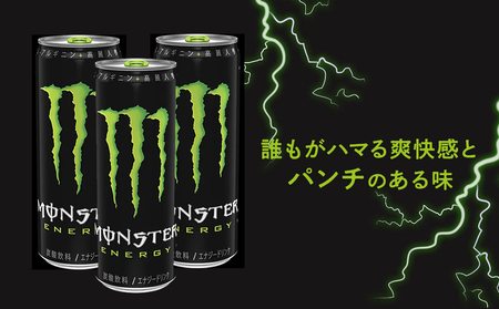 モンスターエナジー 355ml × 24本 1ケース 【 ドリンク アサヒ 飲料 エナジー エナジードリンク 栄養 炭酸 缶 人気 おすすめ 緑 MONSTER ENERGY 和歌山県 海南市】