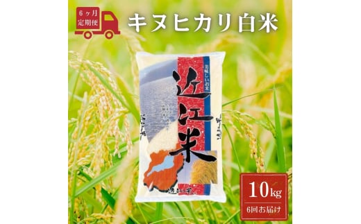 令和6年産 キヌヒカリ白米【定期便】10kg/月×6回（月1回配送）