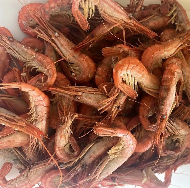 北海縞海老（シマエビ) 500g Sサイズ 40~44尾 えび しまえび 北海道しまえび エビ 海老 冷凍 ボイル済 冷凍