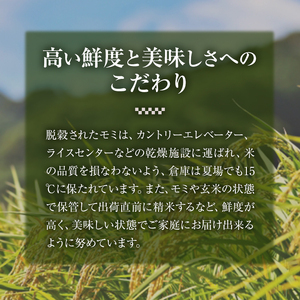 <先行予約受付中!2025年10月に順次発送予定・数量限定>JAよりお届け!福岡県産米 夢つくし (計5kg)お米 おこめ 米 こめ コメ 白米 福岡県産 ブランド米 常温 常温保存【ksg1815】