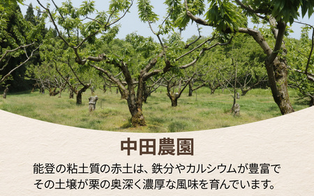 【先行予約】中田農園の能登栗 3kg ～奥能登の大地で育った能登栗～【2025年9月以降順次発送】/ 能登半島 奥能登 くり マロン 和栗 生栗 焼き栗 栗ごはん 焼き栗 国産 果物 送料無料