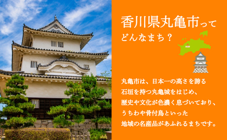 いちご 苺 さぬきひめ 約1kg 苺