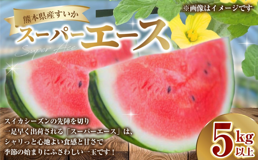 
            熊本県産 すいか スーパーエース 5kg以上 スイカ 西瓜 果物 くだもの フルーツ おすすめ ギフト 贈り物 【2026年3月上旬発送開始】
          