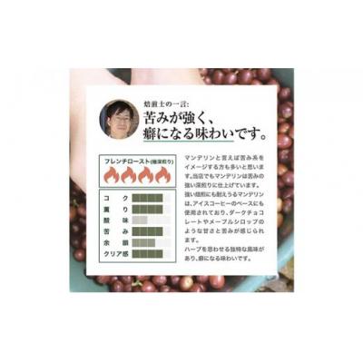 ふるさと納税 堺市 【豆】#906 インドネシア・マンデリン ミトラ G1 コーヒー豆 310g |  | 02