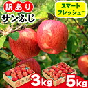 【ふるさと納税】家庭用 りんご サンふじ (3kg／9～12玉) (5kg／14～20玉) ★見た目にわけあり 味はそのまま★スマートフレッシュ｜訳あり 訳アリ リンゴ 林檎 フルーツ 果物 旬 丹代青果 ふじ サンフジ 青森 津軽 つがる [0341-0342] [0793-0795]