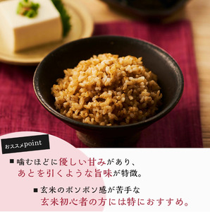 金のいぶき玄米ごはん 160g×18個 お米 レトルト 食品 無添加 国産 レンジで簡単 温めるだけ ギフト 引っ越し 挨拶 出産 内祝い お歳暮 備蓄米