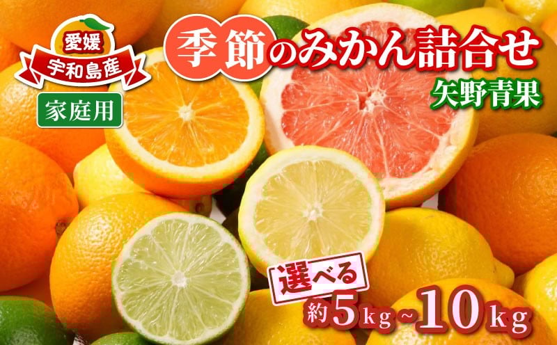 
            季節 の みかん 詰合せ 選べる 容量 5kg ～ 10kg 矢野青果 家庭用 フルーツ詰め合わせ セット 柑橘 ミカン 蜜柑 mikan 果物 くだもの 愛媛みかん 愛媛蜜柑 濃厚みかん 産地直送 数量限定 先行予約 国産 愛媛 宇和島
          