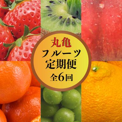 ふるさと納税 丸亀市 【発送月固定定期便】【6回定期】丸亀のフルーツ定期便 全6回 香川県 丸亀市全6回