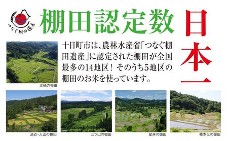 【定期便／全3回】無洗米2kg　令和7年産新潟県十日町市魚沼産コシヒカリ「つなぐ棚田米」 米 こしひかり 無洗米 定期 十日町市