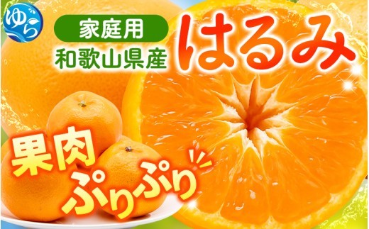 【先行予約】 家庭用 はるみ 訳あり 5kg+250g（傷み補償分）/ 春 みかん 光センサー選別 ※2027年2月上旬〜3月下旬ごろに順次発送予定 ※北海道・沖縄・離島への配送不可  【ikd013-c-5B】