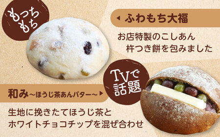 【12回定期便】 あんこ好きの食べ比べ 12個セット 【パンの店 カッタン】 パン あんぱん 大人気店[MEJ012]