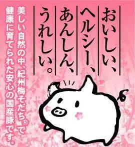 にんにく餃子セットギフトBOX　計50個（25個入り×2パック） / 和歌山県 田辺市 ぎょうざ ギョウザ ギョーザ 手作り 紀州うめぶた 無添加 冷凍【gyz016】