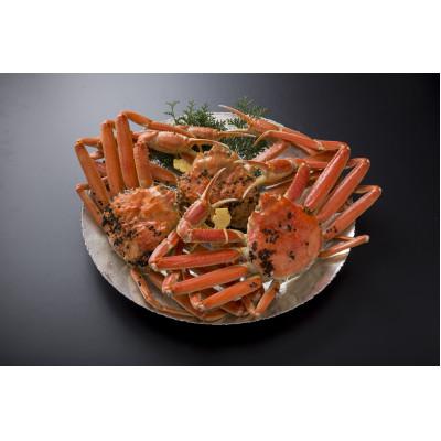 ふるさと納税 鯖江市 【11月6日漁解禁】福井冬の味覚!越前がに　 900-1,000g × 3杯